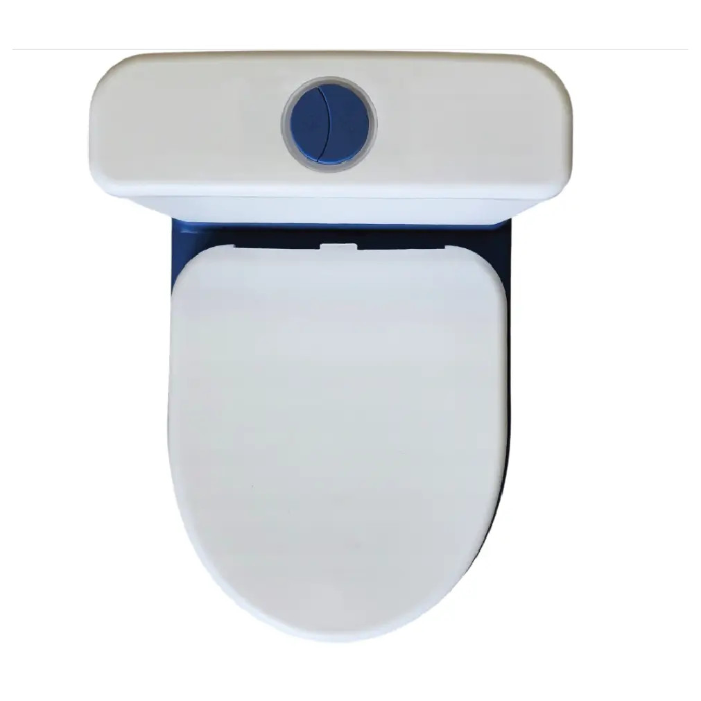 Smart Flush Baby Potty Toilet